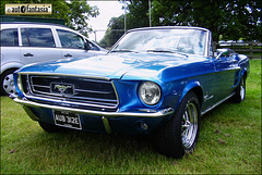 1967 Ford Mustang - AUB 312E