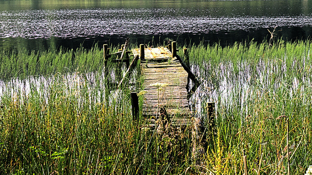 Delapidated Fishing Jetty - Loch Ettrick