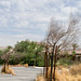 Cathedral City development 4 (0769)