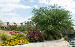 Cathedral City development 3 (0778)