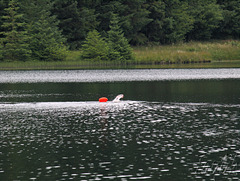 Loch Ettrick - An Endurance Swimmer Training