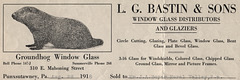 Groundhog Window Glass, Punxsutawney, Pa., 1918