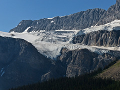 Crowfoot Glacier, Bow Lake