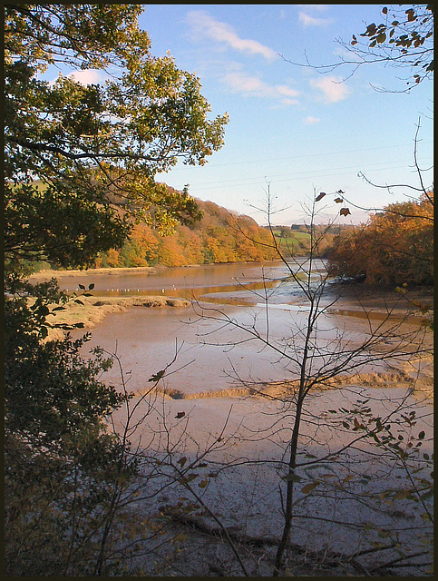 autumn in the creek