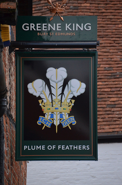 Plume of Feathers pub sign - Crondall