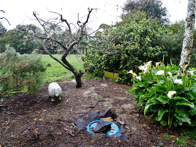 soggy garden