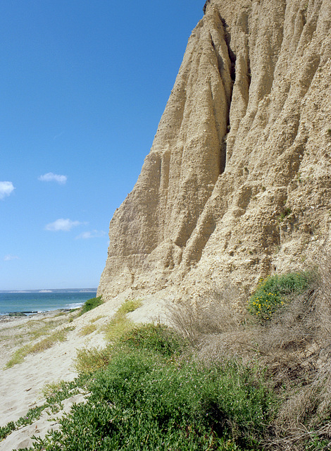 Cliffs of Nova Albion