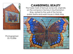 Camberwell Beauty