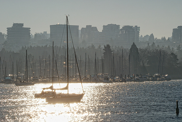 Motor Sailing Race - False Creek