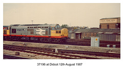 37196 at Didcot 12th August 1987