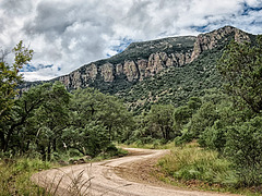 Carr Canyon Road