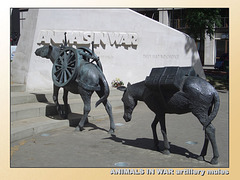 Animals in War - artillery mules
