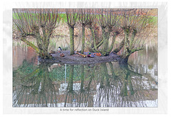 Duck Island reflections - East Blatchington Pond - Seaford