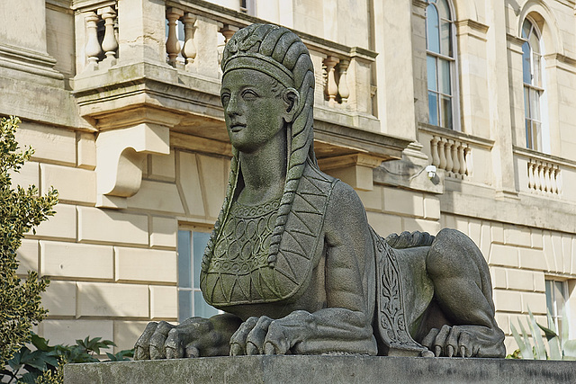 Female Sphinx