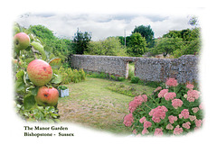 Fruit, flowers & view  Manor Garden Bishopstone 13 9 10