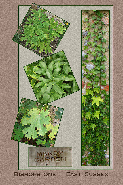 Leaf panels Manor Garden  Bishopstone 13 9 10