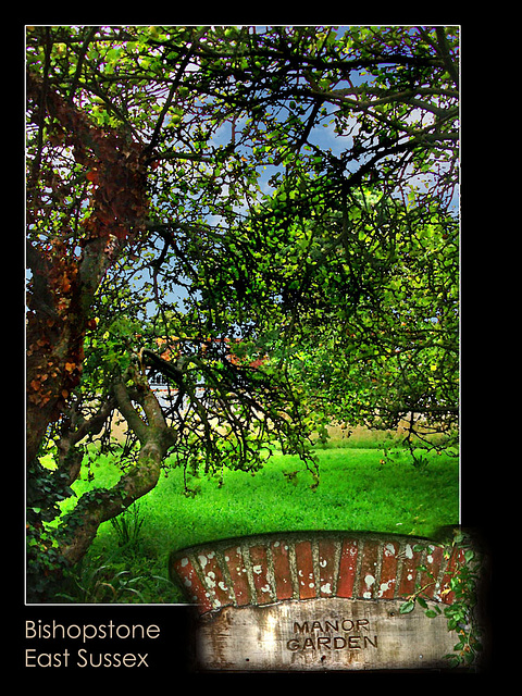 Apple tree arbour Manor Garden  Bishopstone 13 9 10