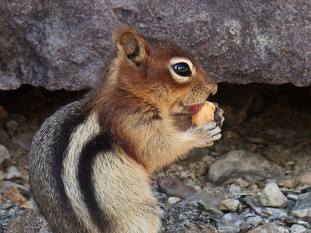 Such a cute little guy