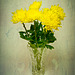 Gerbera Daisies in Crystal with Dyrk Wyst Texture