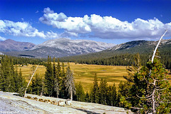 Tuolumne Meadows from Pothole Dome, Yosemite NP, July 1980 (090°)