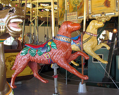 Carousel Dogs