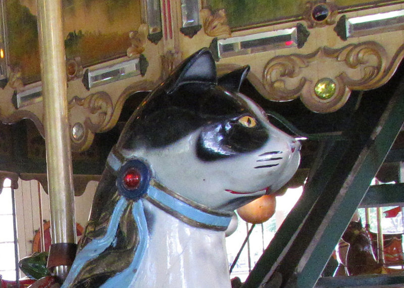 Carousel Cat