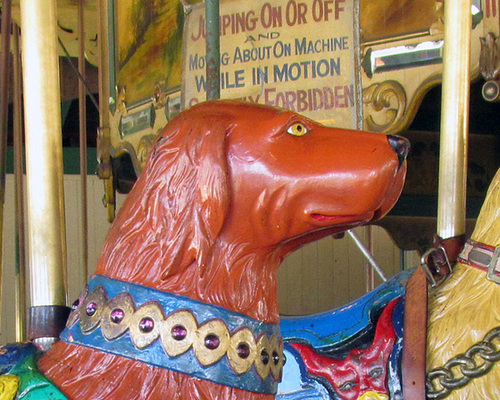 Ipernity: Carousel Dog - By Ceropegia