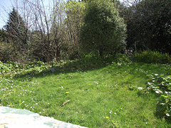 My top garden is very congested with weeds before I sorted them out