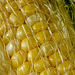 Ear of Corn Macro
