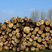 Logs Upon Logs