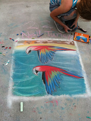 Chalk at Redondo Pier:  Macaws