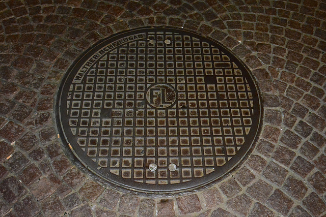 Leipzig 2013 – Manhole cover of Moritz Walther of Lugau