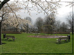 Empty Playground