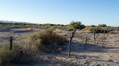 Ehrenberg, AZ: Hualapai concentration camp site (0726)