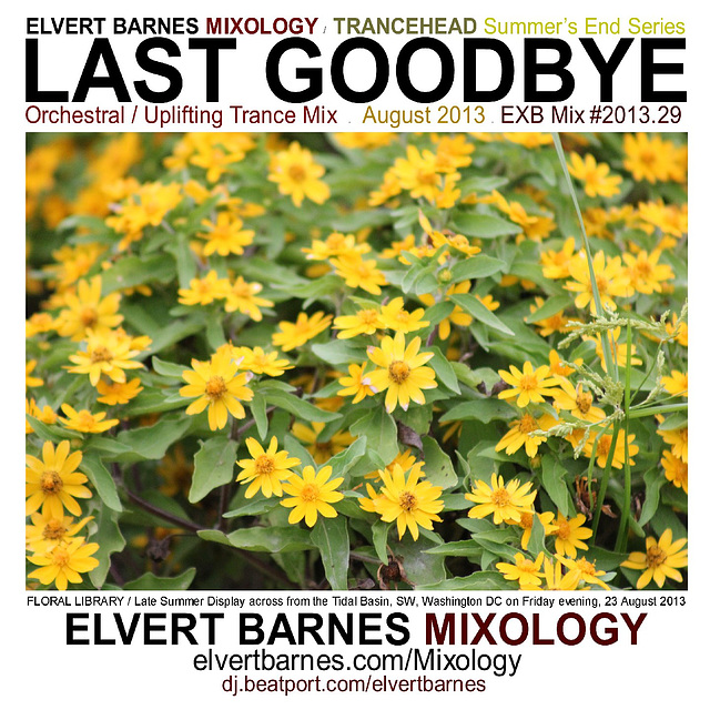 CDCover.LastGoodbye.Trance.SummerEnd.August2013