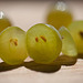 Bokeh Thursday: Group of Grapes Bokeh