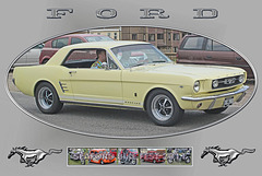 SBF2011 Ford Mustang 1956