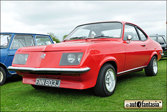 1971 Vauxhall Firenza Deluxe - FNN 803J