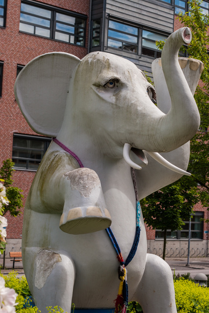 The shabby hospital elephant