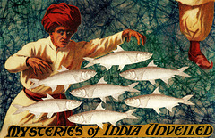 mysteries of india unveiled