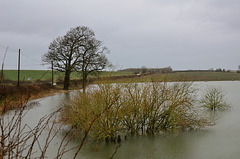 Floods near Wimborne, Dorset