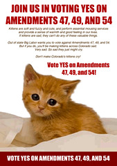 Protect Colorados Kittens - Vote Yes on Amendments 47, 49, and 54