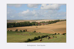 Bishopstone Village from the south-east 21 8 09
