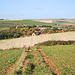 Path from Grand Avenue, Seaford to Bishopstone - 25.10.2010