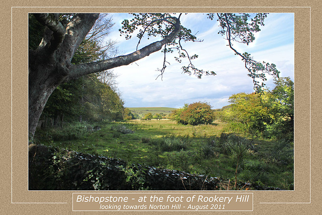 Bishopstone - at the foot of Rookery Hill - 15.8.2011