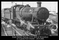 Former Great Western Railway  2-8-0 3829 - Shrewsbury  - 20.4.1960