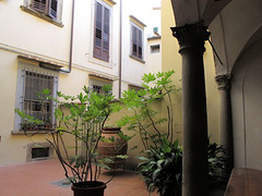 Courtyard - Instituto Gould