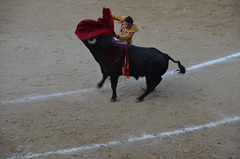Madrid Bullfights