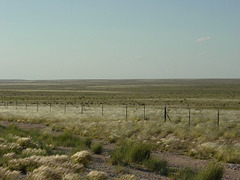 Irridescent Desert
