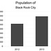 Black Rock City Population